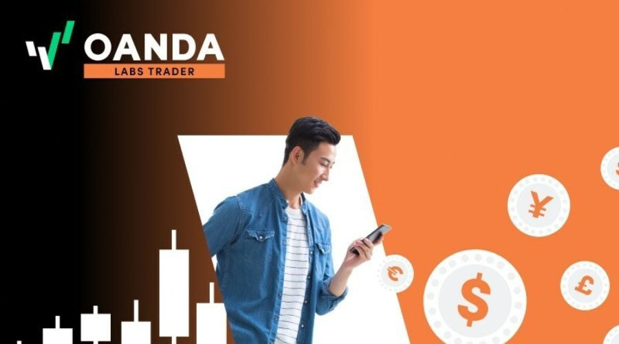 强化责任落实 全力护航2025年高考平稳有序